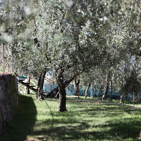 Agricampeggio Paradiso Brenzone sul Garda Zewnętrze zdjęcie