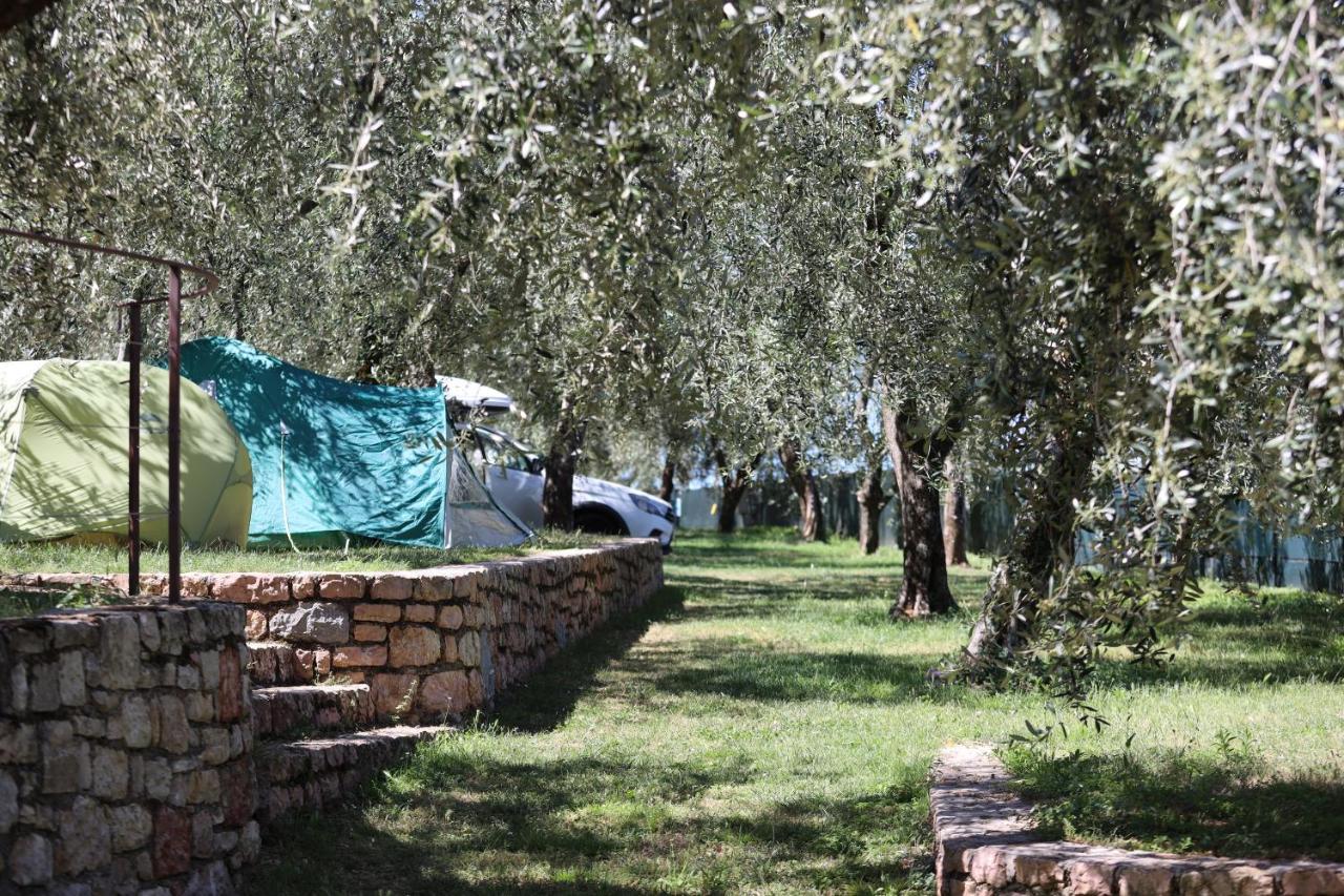 Agricampeggio Paradiso Brenzone sul Garda Zewnętrze zdjęcie