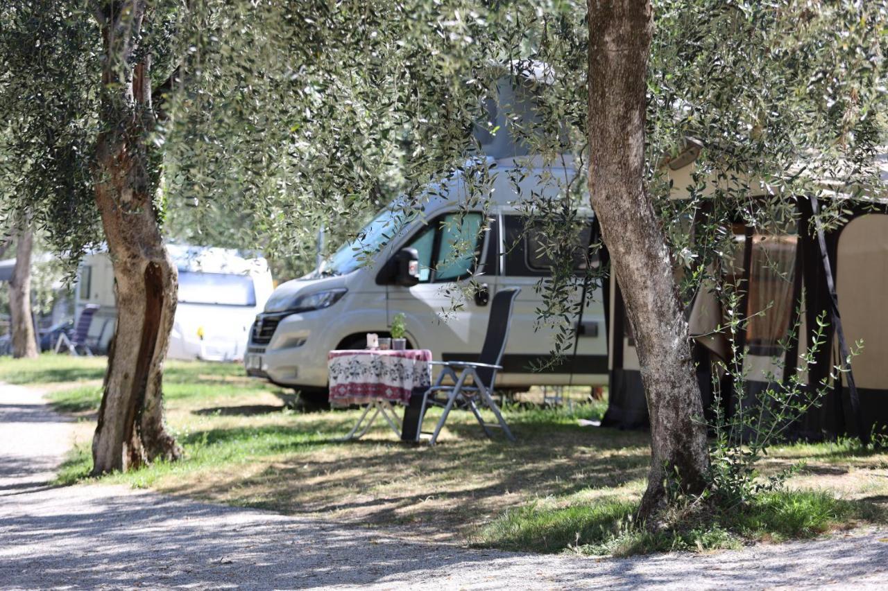 Agricampeggio Paradiso Brenzone sul Garda Zewnętrze zdjęcie