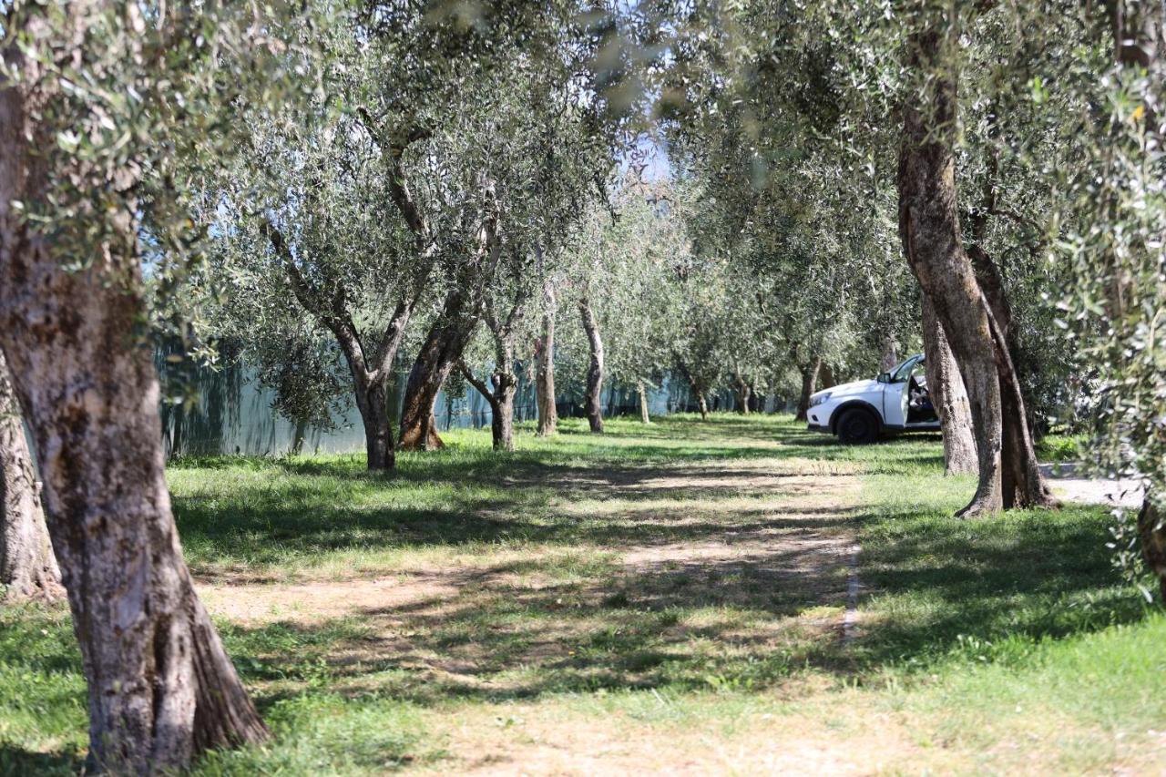Agricampeggio Paradiso Brenzone sul Garda Zewnętrze zdjęcie