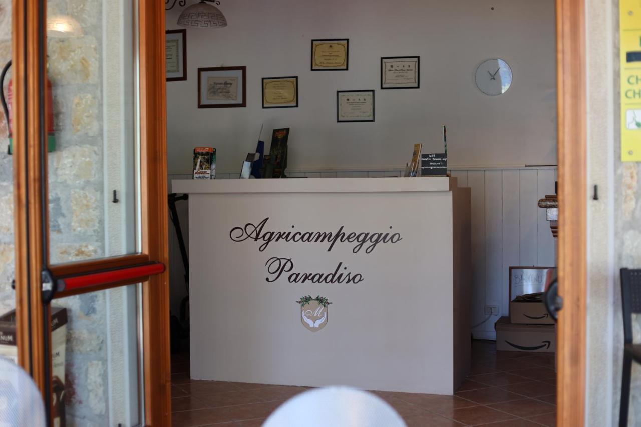 Agricampeggio Paradiso Brenzone sul Garda Zewnętrze zdjęcie
